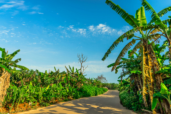 �����������V������������