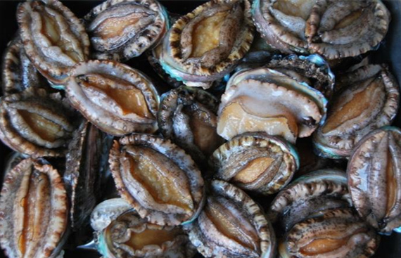 ���������r���V������������