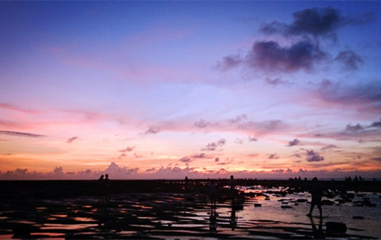 ���������ލu���V������������