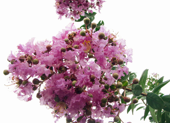 �����������V������������