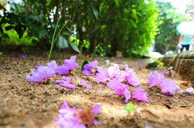 �����������V������������