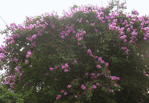 �����������V������������