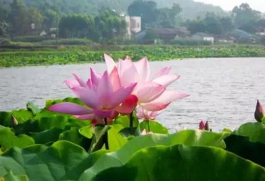 �������Σ��V������������