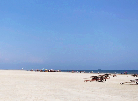 �����������V������������