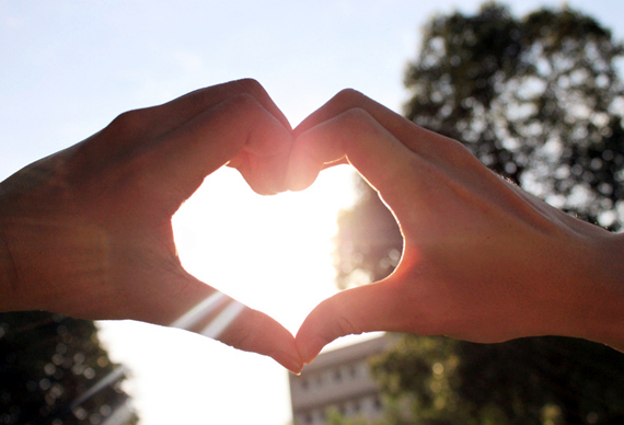 �����������V������������