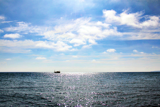 ���������������V������������