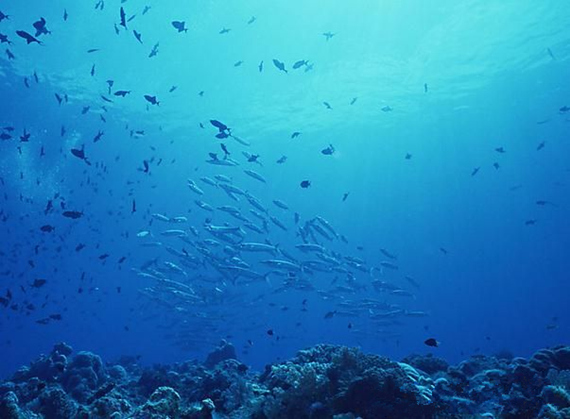 ���������������V������������