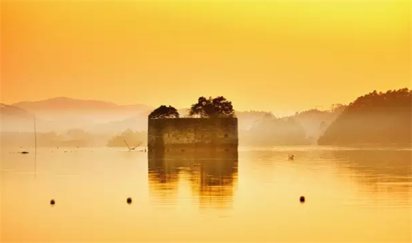 �����������V������������