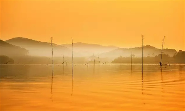 �����������V������������