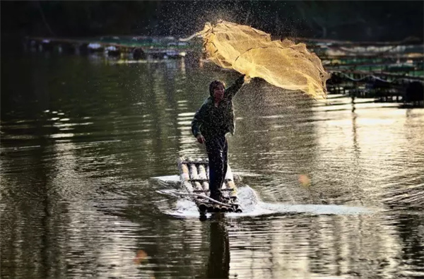 �����������V������������