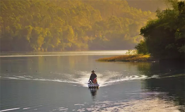 �����������V������������