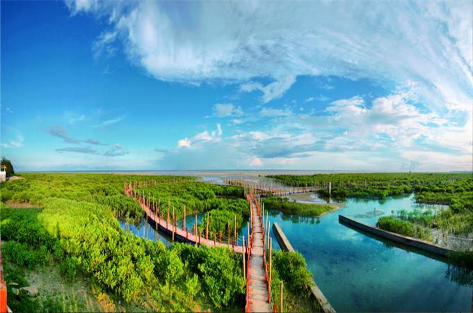 �������V������������