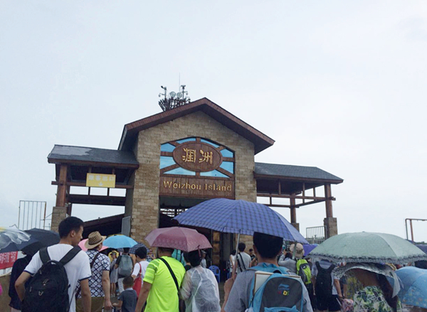 �����������V������������