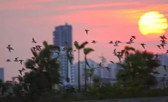 �����������V������������