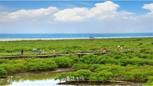 �������V������������