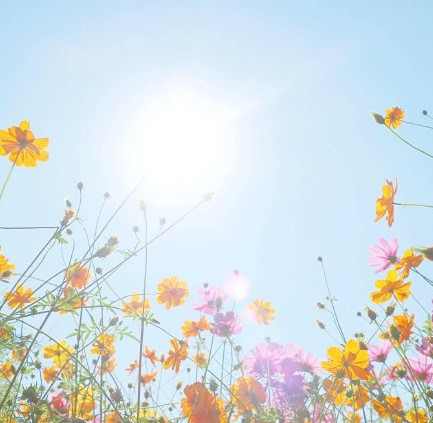 �V������������ ��������