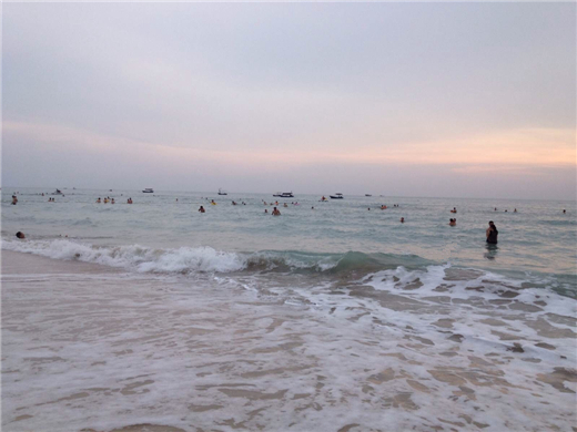 �����y�����V������������