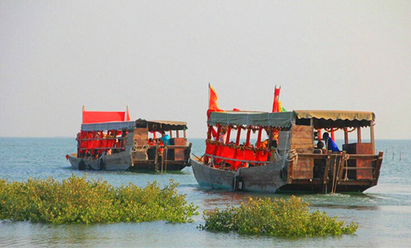 �����D�����V������������