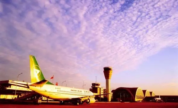 �����������V������������