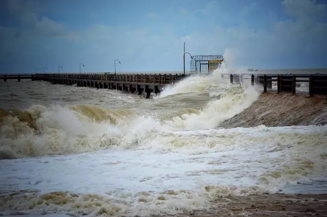 �������V������������