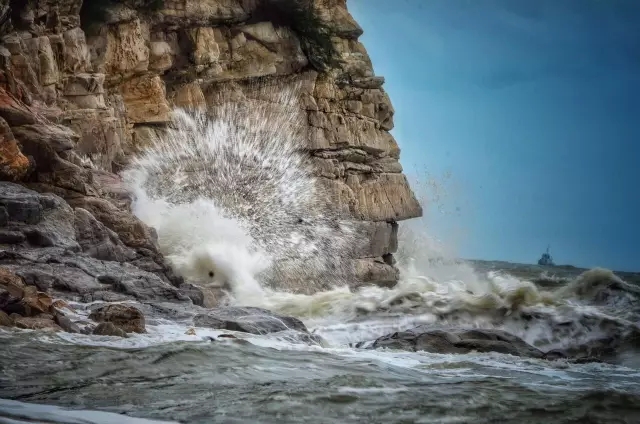 �������V������������