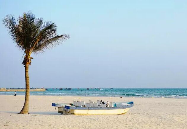 �������������ލu���V������������