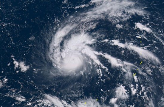 �������V������������