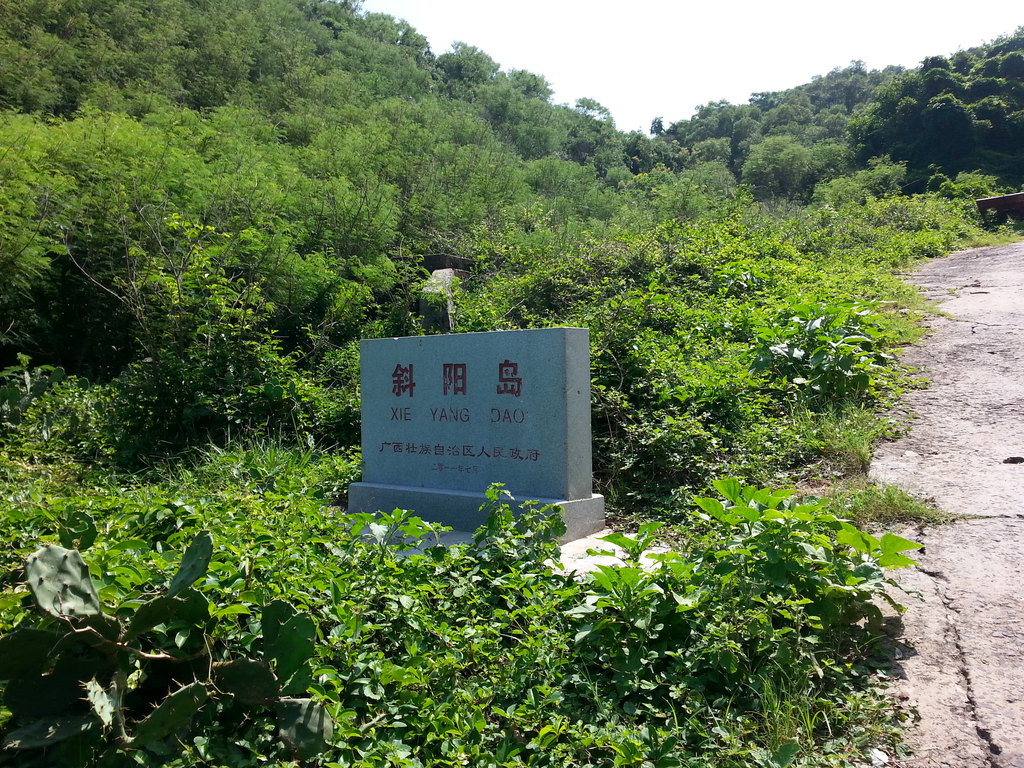 �����������V������������