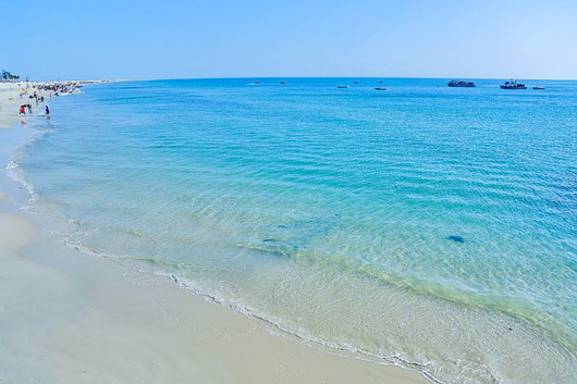 ���ލu�������V������������