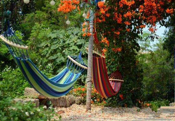 ���ލu�������V������������