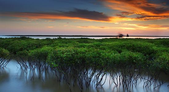 �����������V������������