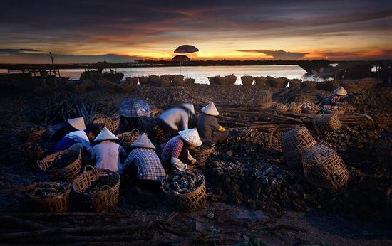 �����������V������������