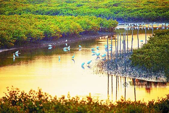 �V������������ ��������