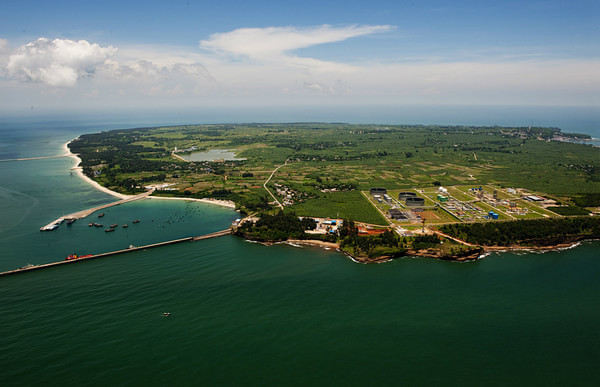 ���ލu�������V������������