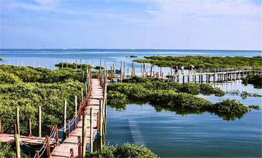 �����������V������������