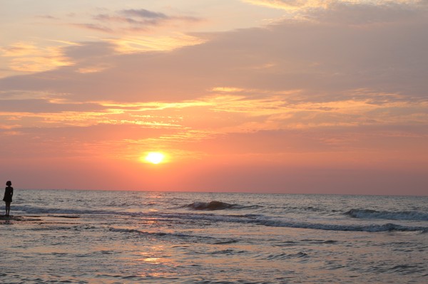 �����������V������������