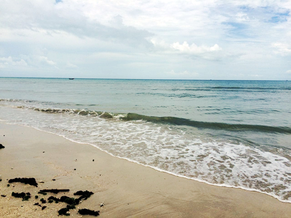 �������ލu���V������������