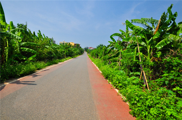 �������ލu���V������������