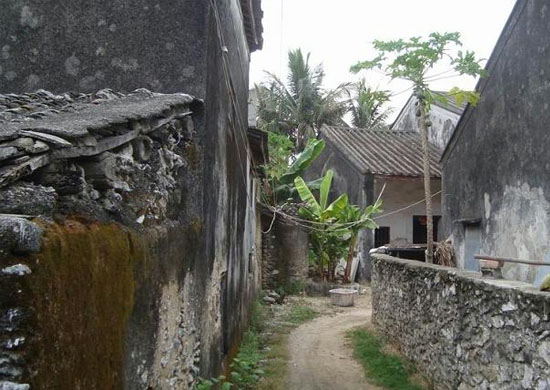 ���ލu��ɺ��ʯ���V������������