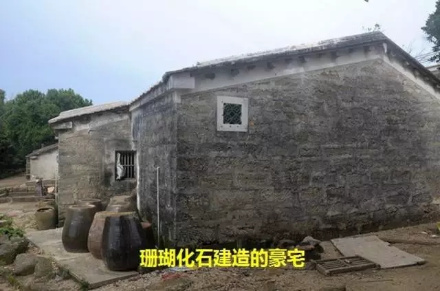 ���ލu��ɺ��ʯ���V������������