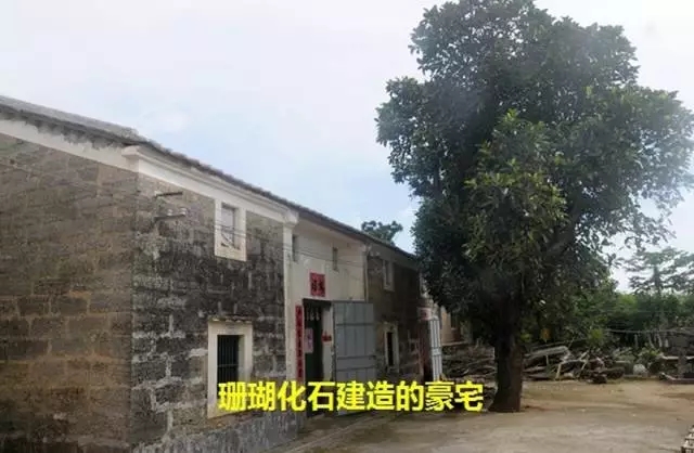 ���ލu��ɺ��ʯ���V������������