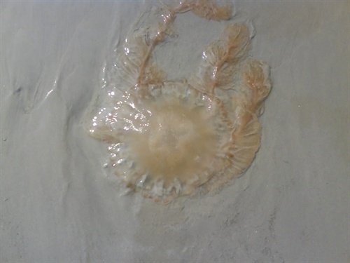 �����������V������������