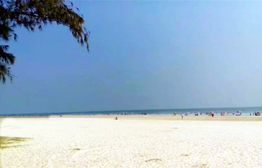 �������Σ������y�����V������������