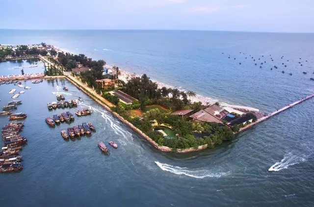 �����������V������������