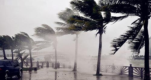 �����������V������������