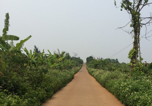 ���ލu�������V������������