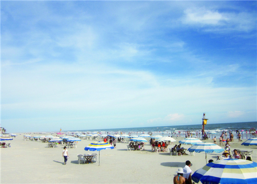 �������V������������