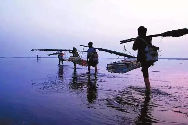 �������s�����V������������