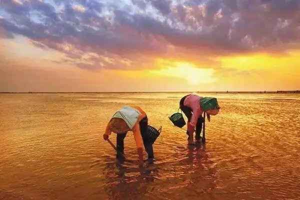 �������s�����V������������