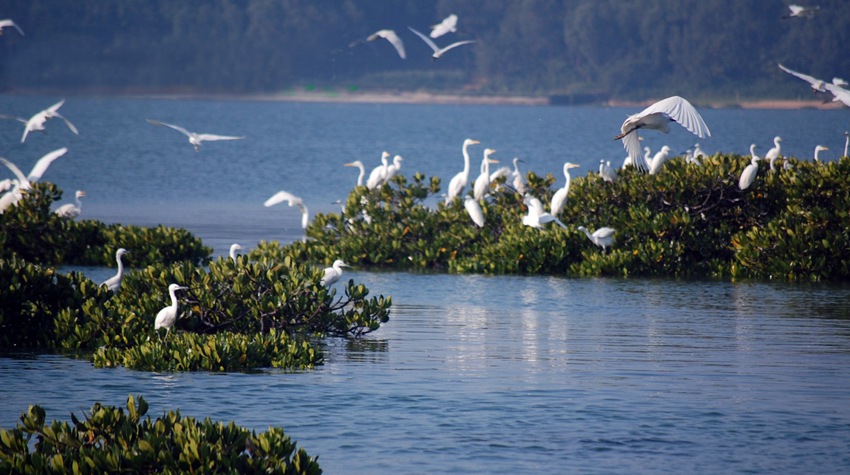 ɽ�ڼt��(sh��)�� �V������������